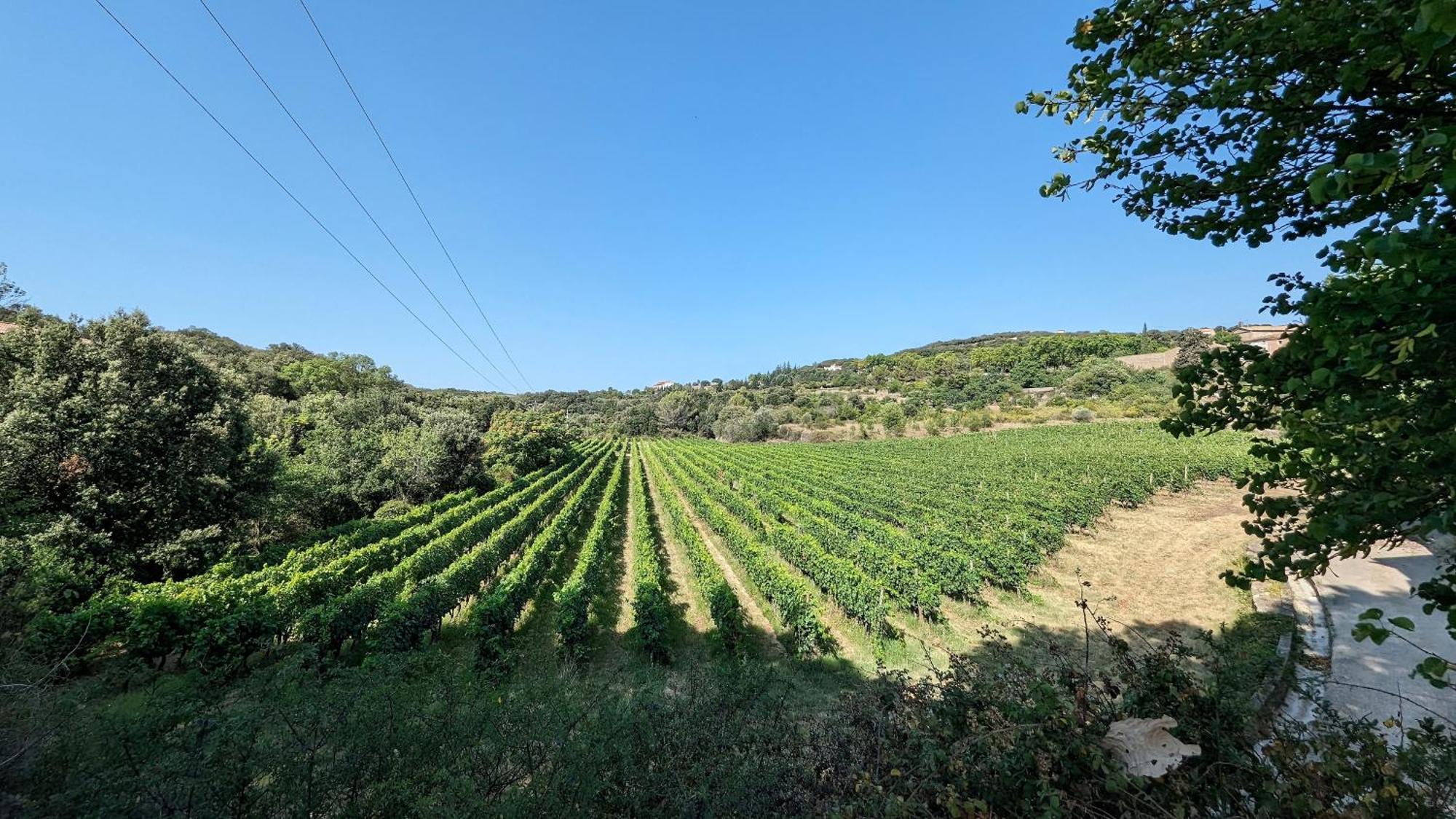 La Galante Ξενοδοχείο Faugères Εξωτερικό φωτογραφία